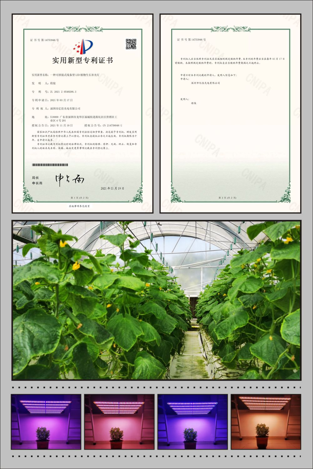 赏金船长官方网站植物农场灯实用新型专利